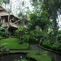 Photo de Bali - Balade, Garuda et spectacle